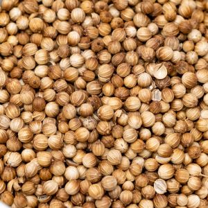 Coriander Seeds