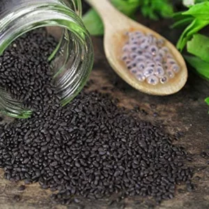Basil Seeds (Tukhmaria)